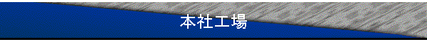 {ЍH